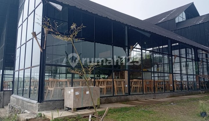 Lahan Bangunan Resort Buleleng Bali Sangat Murah SHM