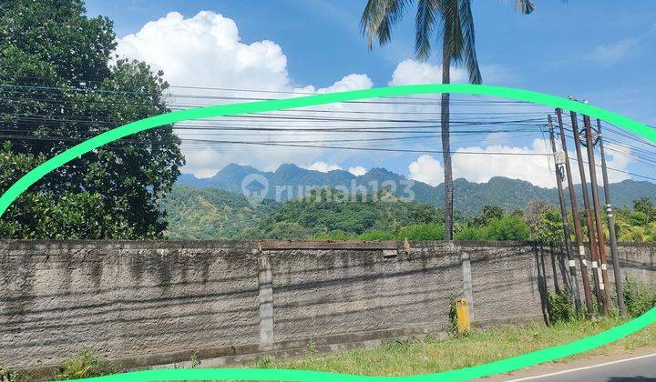 Tanah Industri Nol Jalan Raya Seririt Gilimanuk Bawah Pasar 2