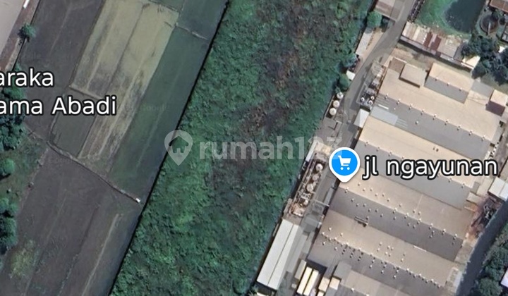 Tanah Kavling Industri Nol Jalan Propinsi Beji Gempol Pasuruan Tanah Kavling Industri Nol Jalan Propinsi Beji Gempol Pasuruan