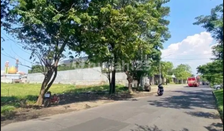 Kavling Kertajaya Indah 30Jt /M² Nego