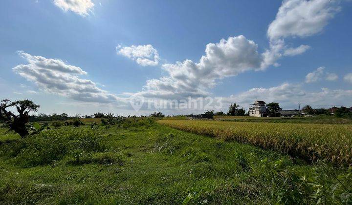 Harga Promo Hanya 275 Juta Are Tanah Kavling Ekslusive Harga Ekonomis View Sawah di By Pass Ir. Soekarno, Dauh Peken, Tabanan 1