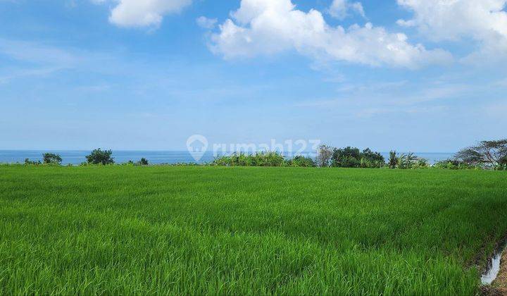 Dijual Tanah Kavling Eksklusif Dengan View Sawah Dan Laut Berlokasi di Kedungu Tabanan 2