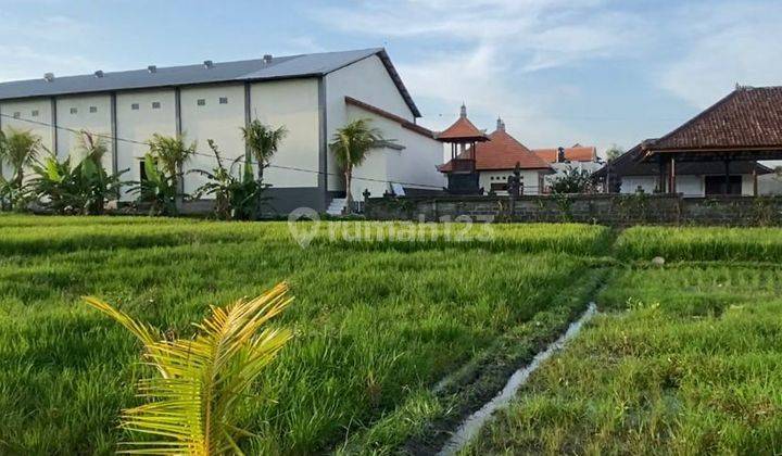 Tanah Kavling Ekslusive Area Villa Residence Dengan View Sawah di Pantai Seseh, Mengwi, Badung Dekat Canggu 2