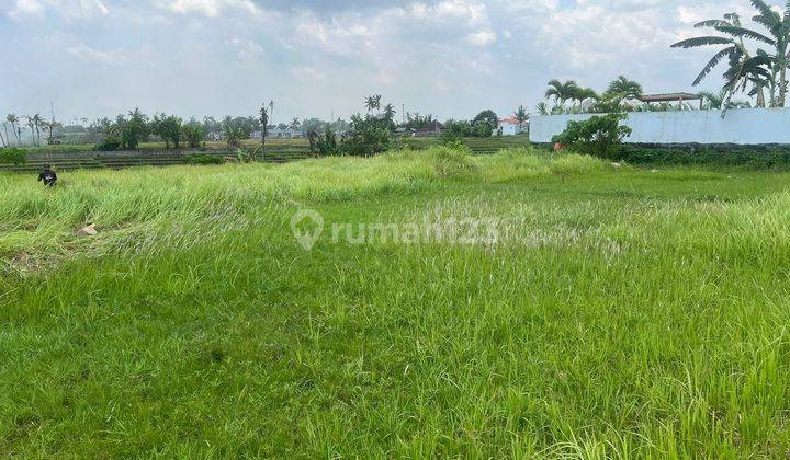 For Sale Land Pantai Nyanyi Near Luna Beach Club Near Beach 2