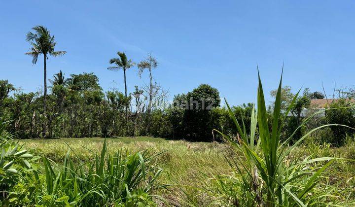 Land for Sale Bingin Area Pecatu Long Term Leasehold 1