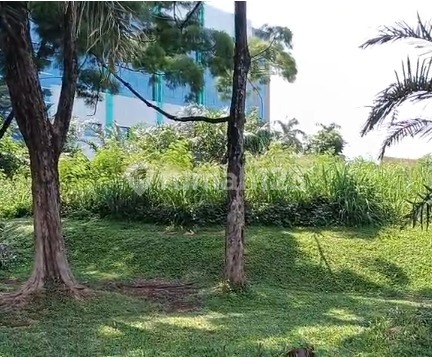 Disewakan Kavling Komersial Posisi Jalan Boulevard di Alam Sutera Serpong, Tangerang Selatan