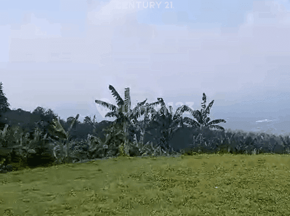 Kavling Luas View Gunung Di Desa Tugu Jaya Cigombong Kab Bogor 2