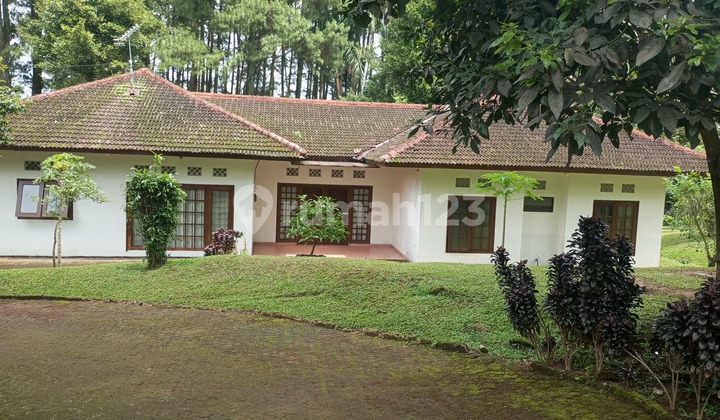 Villa Tapos Luas Sejuk dan Asri Rumah Bagus SHM