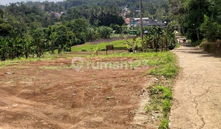 Land for Sale in Cigombong