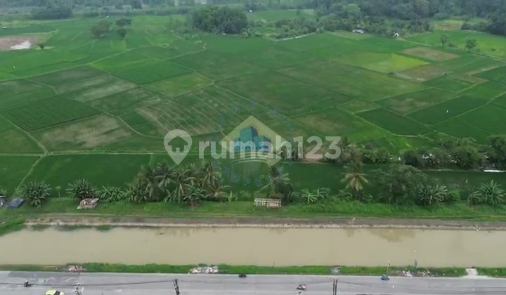 Dijual Tanah Murah Cocok Perumahan di Cijeruk - Serang. 800M ke Pt Nikomas!