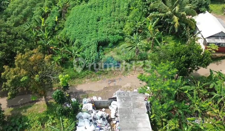 Dijual Cepat! Tanah Strategis di Dangdang, Cisauk - Tangerang. Tanah Darat dan Bebas Banjir!