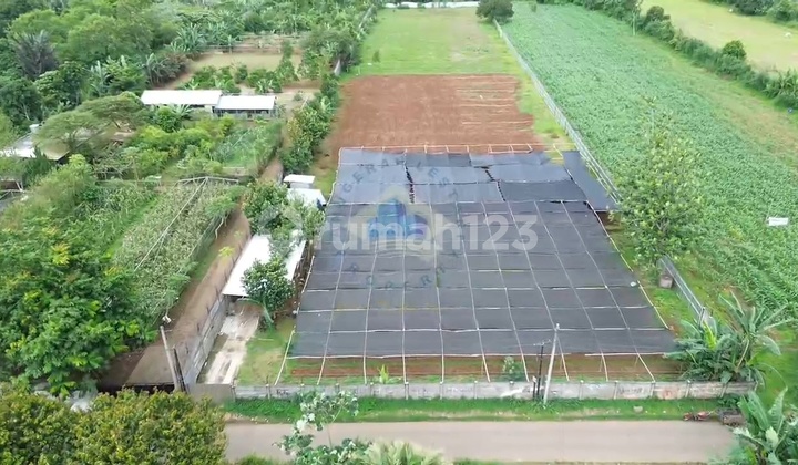 Dijual Cepat! Tanah Darat di Dangdang - Cisauk. Akses Stategis Dekat dengan Stasiun Jatake Dijual Cepat! Tanah Darat di Dangdang - Cisauk. Akses Stategis Dekat dengan Stasiun Jatake