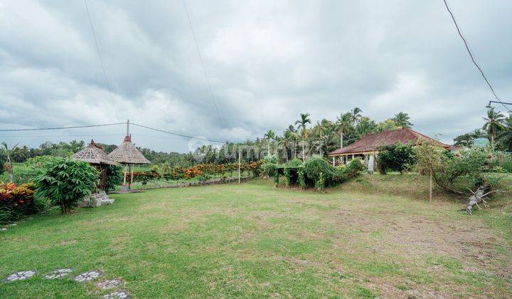 Villa View Sawah Dan Gunung Batukaru Bebas Polusi Kerambitan 2