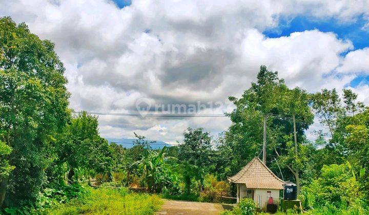 Tanah Dan Bangunan Di Kintamani View Gunung Ijin Usaha Lengkap 1