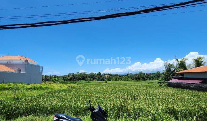 Tanah Murah View Sawah Dekat Pantai Cemagi Mengwi Badung 1