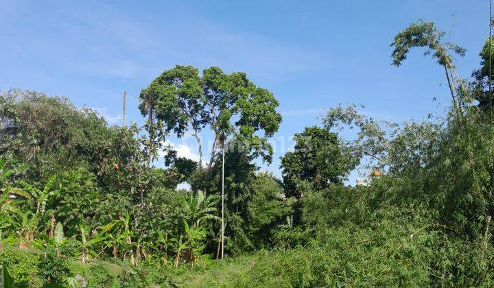 Tanah Langka Dijual Lokasi Kayu Tulang Canggu Kuta Utara 2