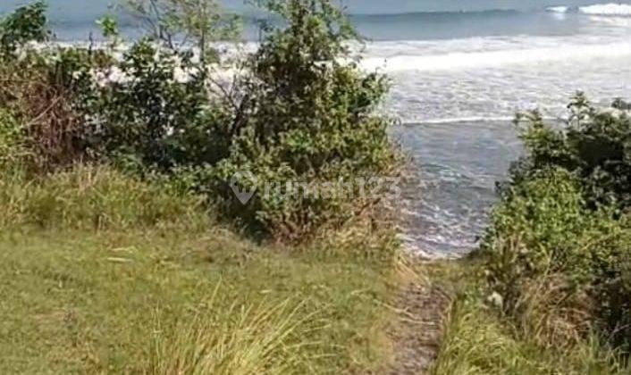 Exclusive Beachfront Land In Bonian Selemadeg Tabanan 2