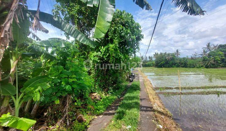 Tanah Murah Peruntukkan Perumahan Di Kaba Kaba Kediri Tabanan 2