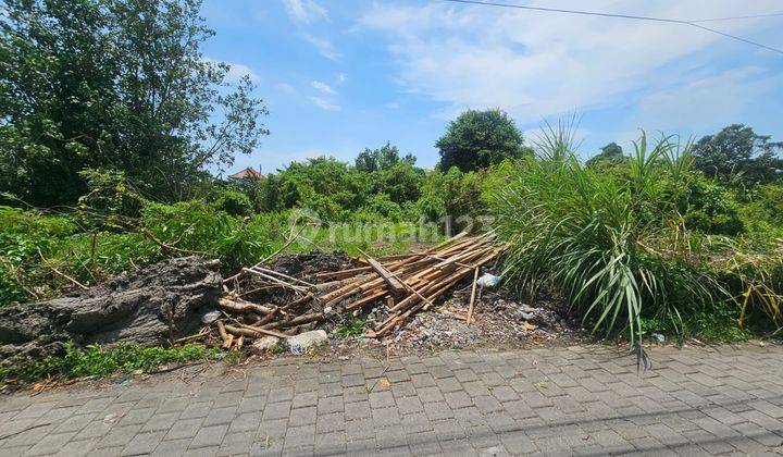 Tanah Langka Di Munggu Dekat Pantai Seseh Pererenan Cemagi 1