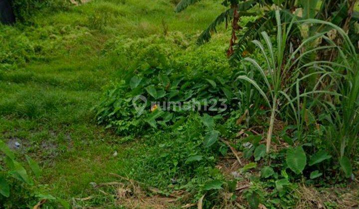 Tanah Premium Posisi Hook Di Canggu Umalas Kerobokan Kuta Utara 1