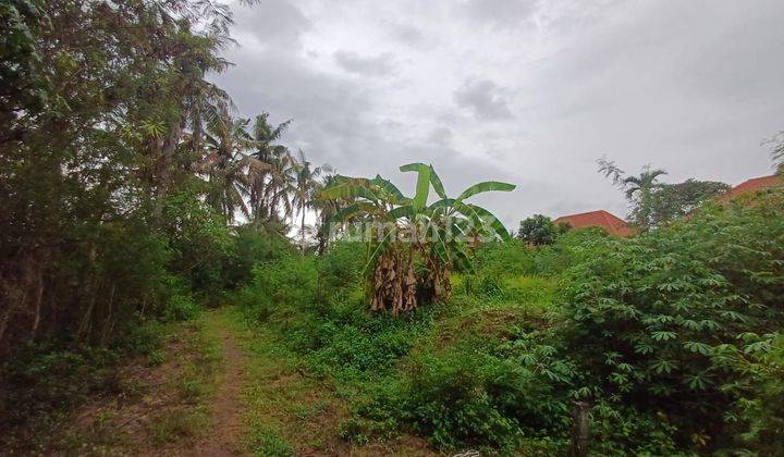 Tanah Sawah Dan Laut Di Medahan Blahbatuh Gianyar Bali 1