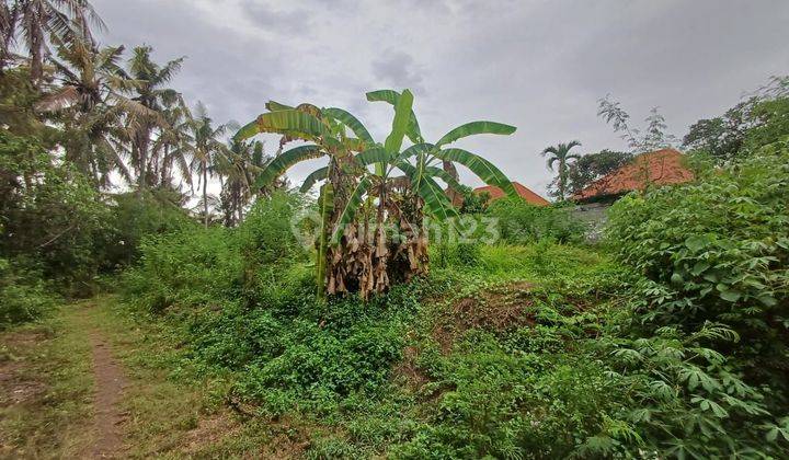 Tanah Sawah Dan Laut Di Medahan Blahbatuh Gianyar Bali 2