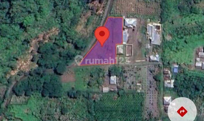 Lahan Tanah Kintamani View Gunung 2 Jalan Murah Cocok Investasi 1