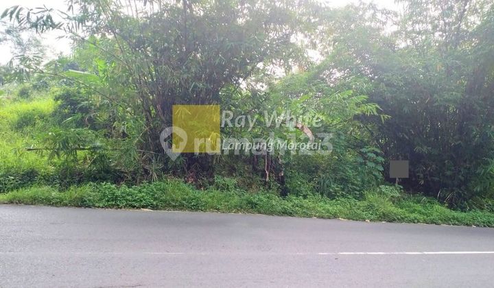 Dijual Tanah Bandar Lampung Dijual Tanah Bandar Lampung