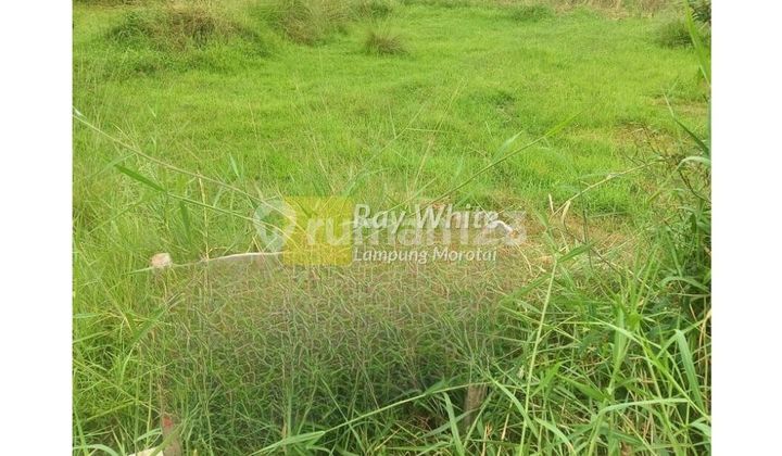 Dijual Tanah Perumahaan