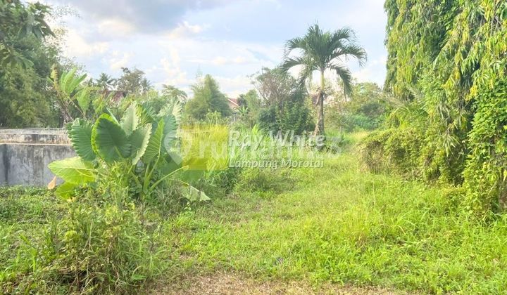 Dijual Tanah Bonus Bangunan Dijual Tanah Bonus Bangunan