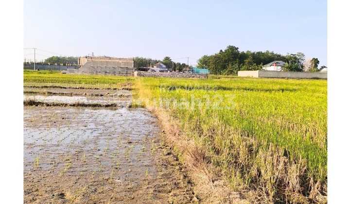 Tanah Dijual Jati Mulyo