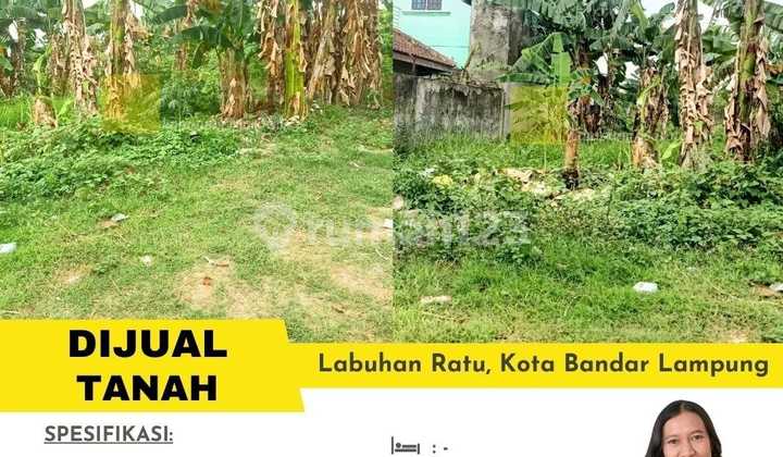 Tanah Untuk Perumahan Tanah Untuk Perumahan