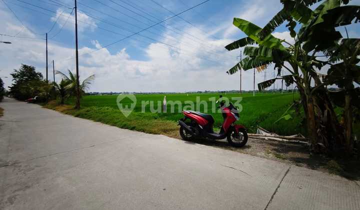 Tanah Mojokerto Lt:1546 ,dusun kepuh anyar RT 02 ,RW 03 ,kel.keug anyar ,kec mojoanyar mujokerto