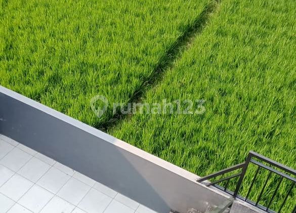 Ready Siap Huni Lokasi Sukun Klayatan Free Biaya Ready Siap Huni Lokasi Sukun Klayatan Free Biaya