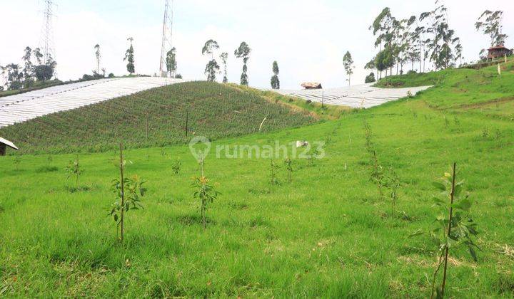 Tanah Kavling Villa Kamojang Hills Samarang Garut Bandung 2