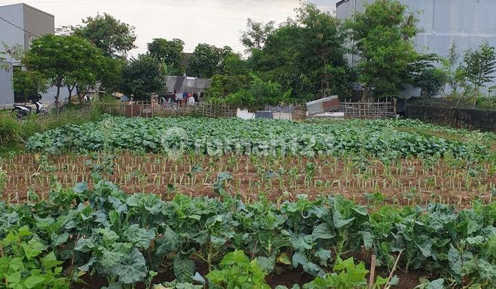 Jual Tanah Luas Cisaranten Kulon Arcamanik Bandung Jual Tanah Luas Cisaranten Kulon Arcamanik Bandung