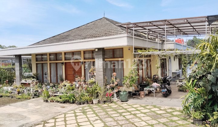 Dijual Rumah Asri Mainroad Ciumbuleuit Kota Bandung Dijual Rumah Asri Mainroad Ciumbuleuit Kota Bandung