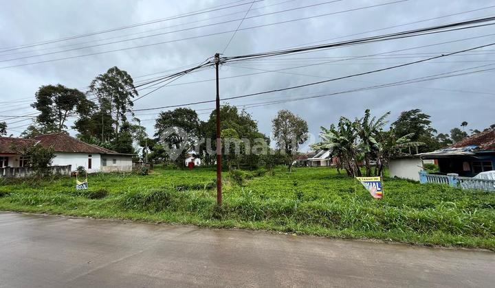 Land For Sale, Spacious, Suitable For Villas In Pangalengan, Bandung
