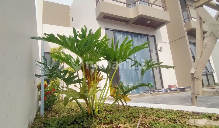 Modern Tropical Villa House Cisarua Lembang Bandung