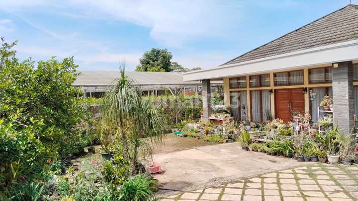 Sell Serene House with Large Land Near UPI Campus Setiabudi Bandung 2