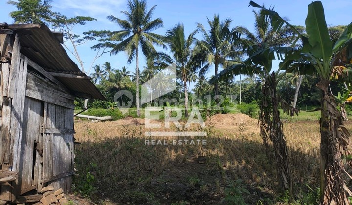 Land for Sale in SUKABUMI