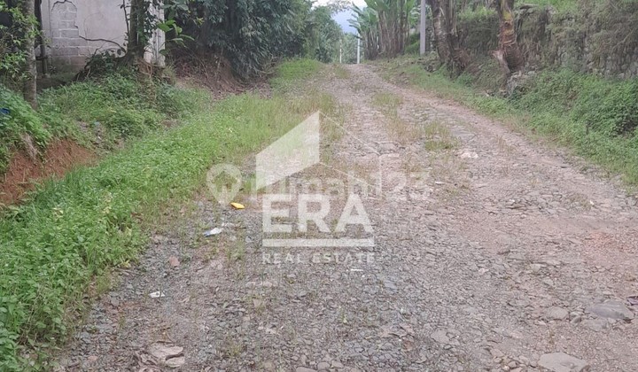 Dijual Tanah ex Peternakan Ayam di Cariu