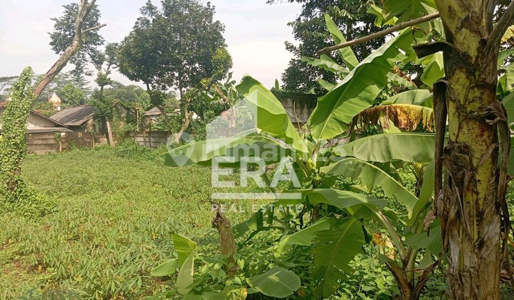 Land for Sale in Ciseeng Land for Sale in Ciseeng