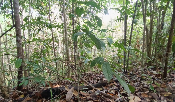 Garden Land Balikpapan