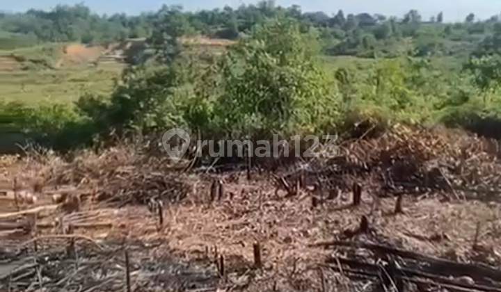 Kavlingan Murah 6 Kav 500 Juta