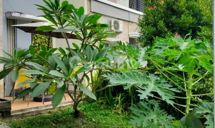 Rumah Adem Sejuk Tengah Kota Balikpapan 2