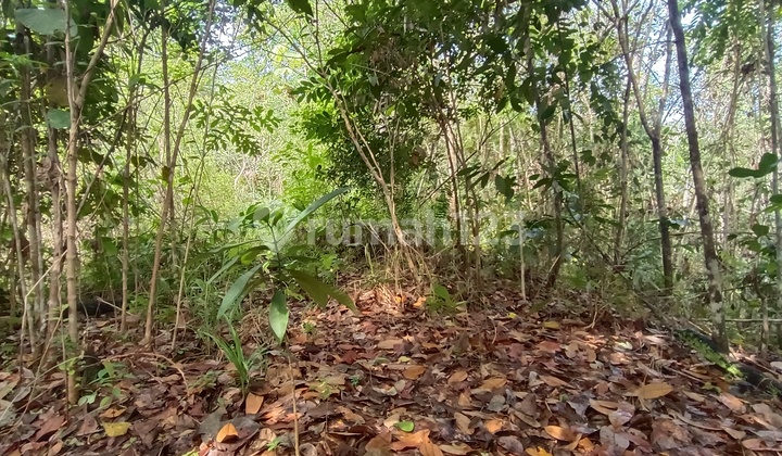 Garden Land Balikpapan