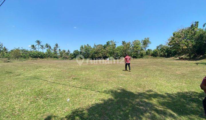 Dijual Tanah Kebun 2
