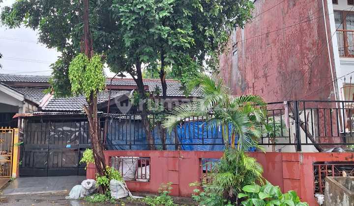 Cheap Sale House With Special Position 2