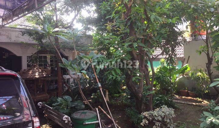 Rumah Asri Cocok Untuk Urban Farming Dekat Pintu Tol 2